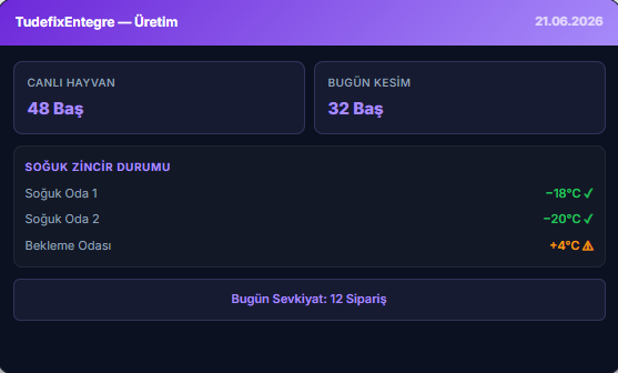 TudefixEntegre yazılımı ekran görüntüsü 1